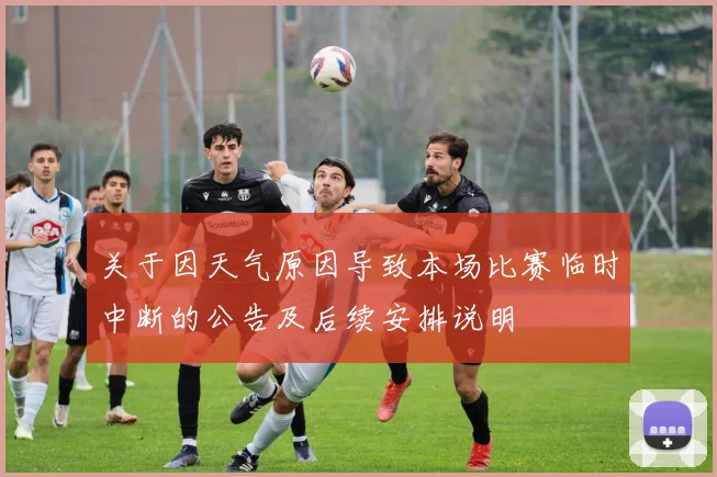 关于因天气原因导致本场比赛临时中断的公告及后续安排说明