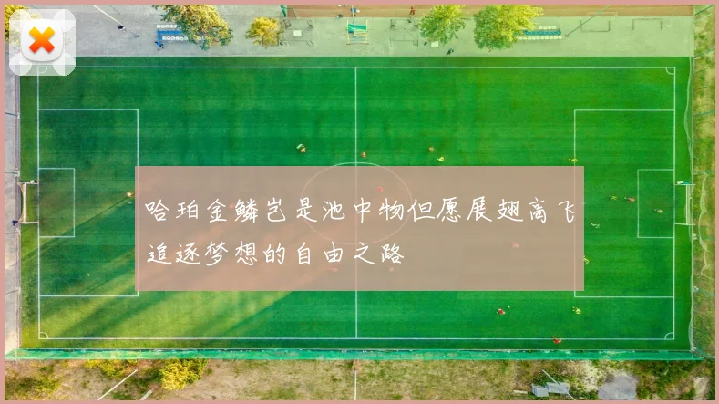 哈珀金鳞岂是池中物但愿展翅高飞追逐梦想的自由之路
